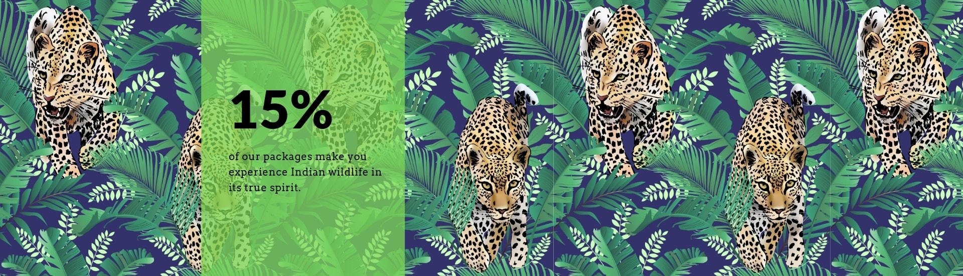 Wildlife Travel Packages